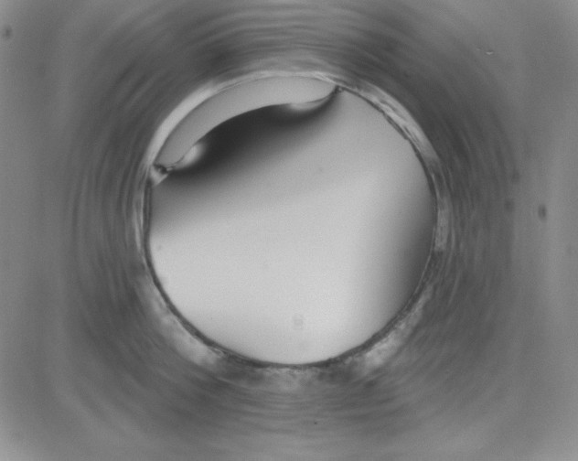 X0000080770812200701021120