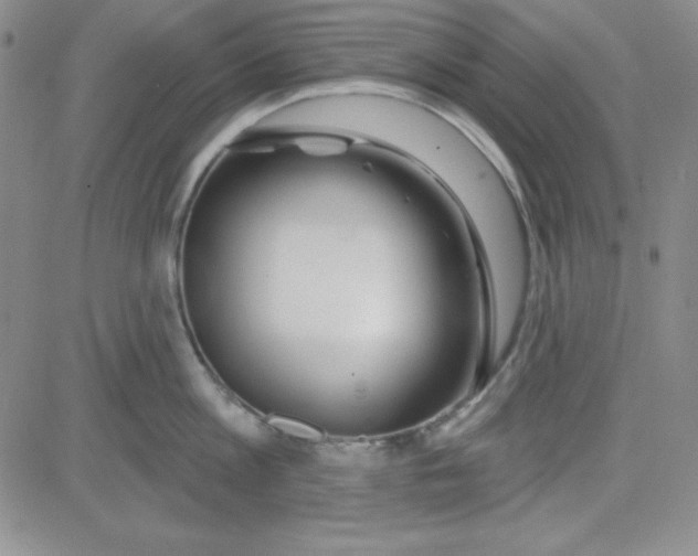 X0000080770813200701021120