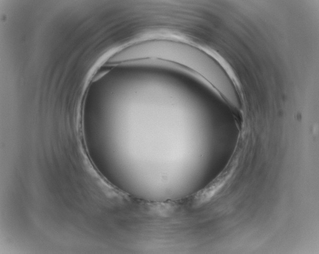 X0000080770815200701021120