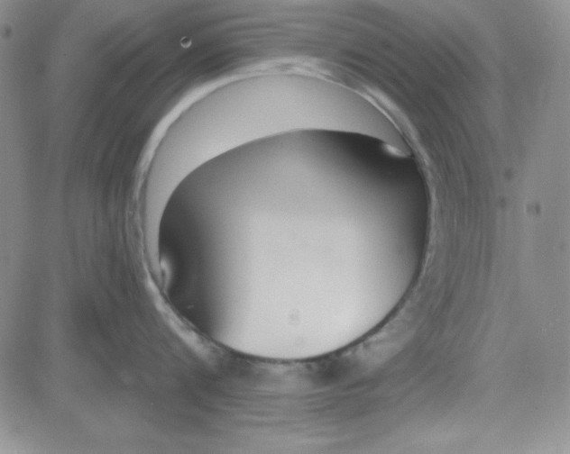 X0000080770816200701021120