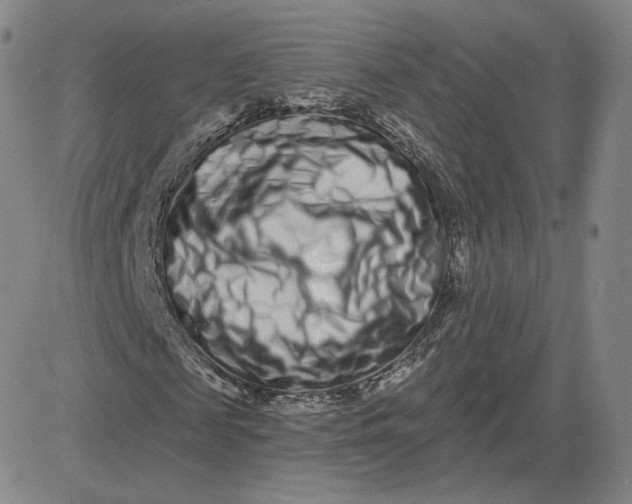 X0000080770817200701021119