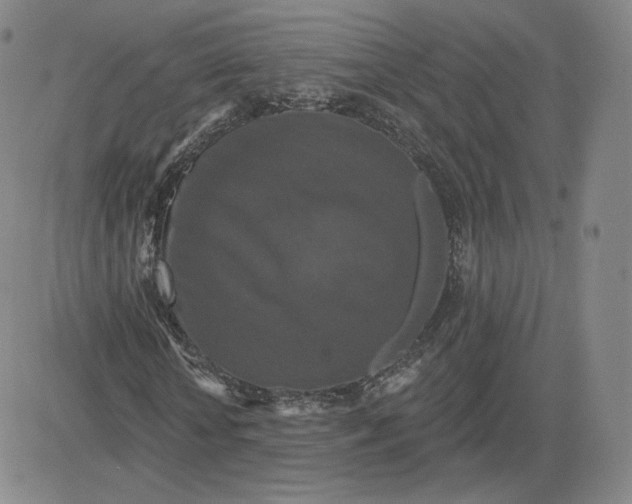 X0000080770818200701021119