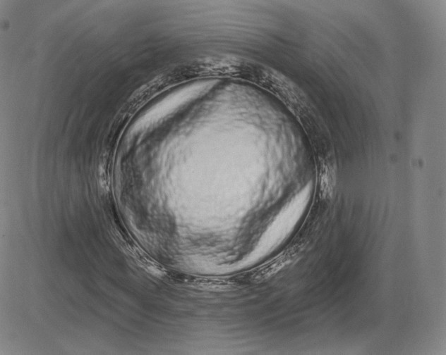 X0000080770819200701021119