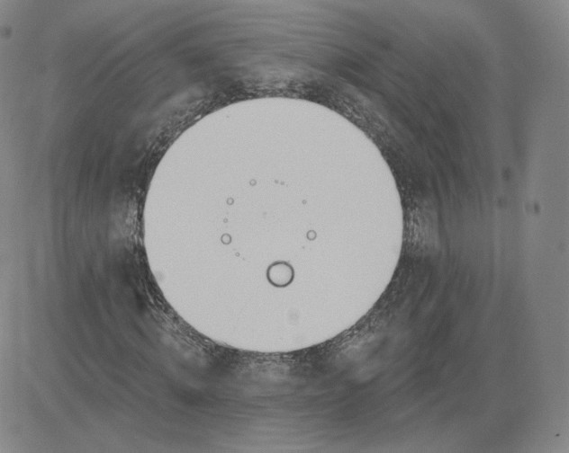 X0000080770820200701021119