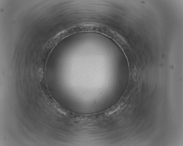 X0000080770821200701021119