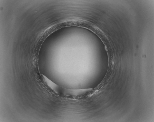 X0000080770822200701021119