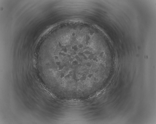 X0000080770823200701021119