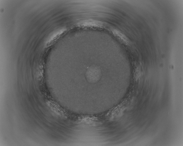 X0000080770824200701021119