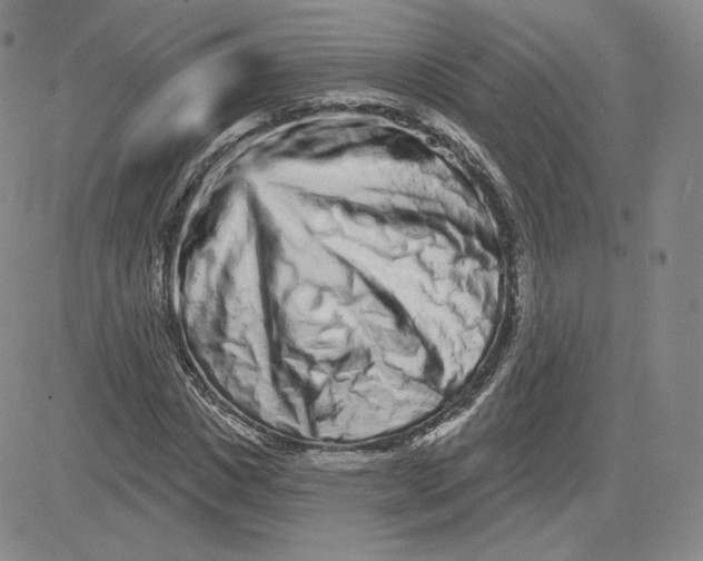 X0000080770825200701021119