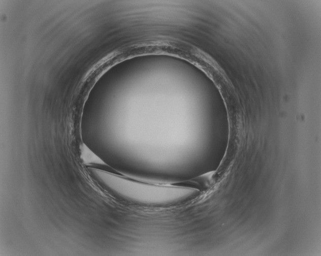 X0000080770826200701021119