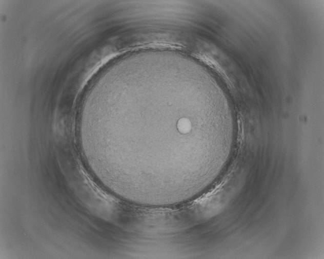 X0000080770828200701021119