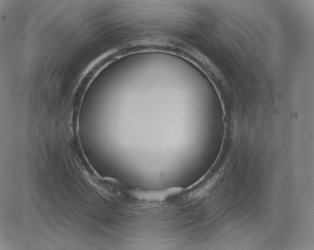 X0000080770830200701021119