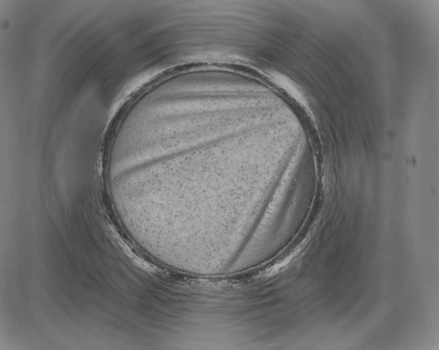 X0000080770831200701021119