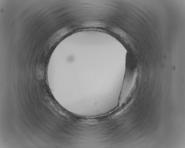 X0000080770833200701021119