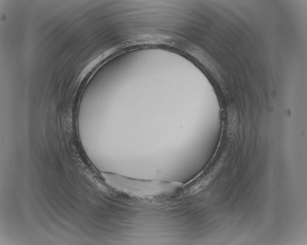 X0000080770834200701021119