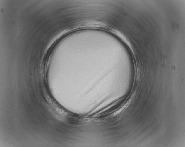 X0000080770835200701021119