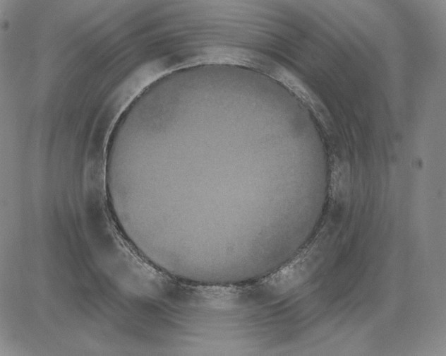 X0000080770836200701021119