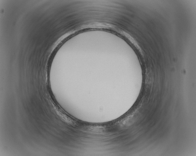 X0000080770837200701021119