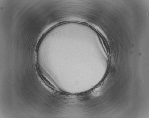 X0000080770839200701021119