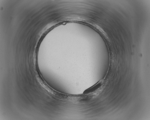 X0000080770840200701021119