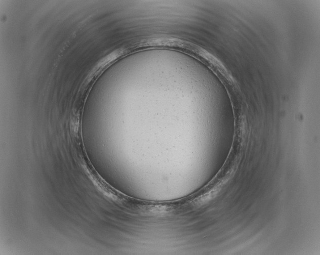 X0000080770841200701021119