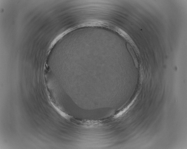 X0000080770842200701021119