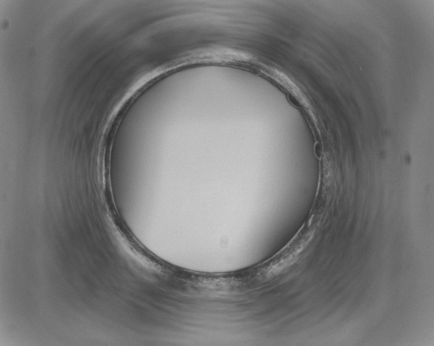 X0000080770843200701021119