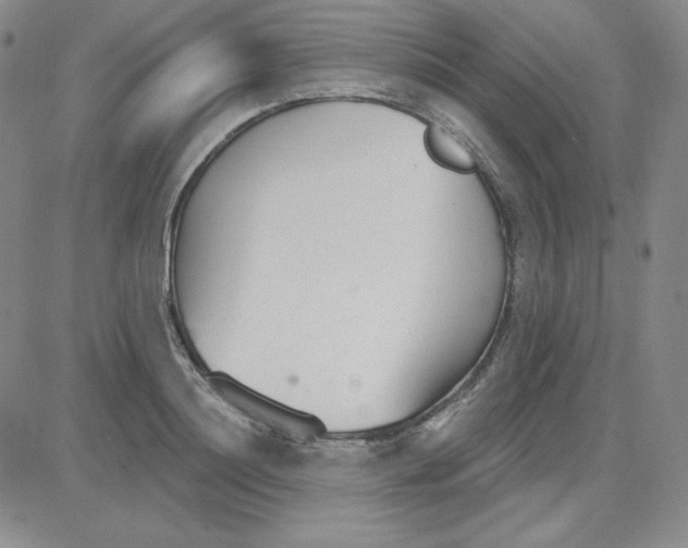 X0000080770844200701021119