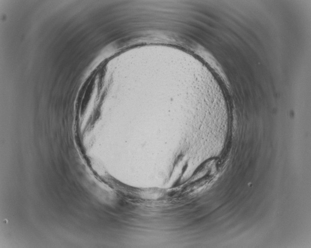 X0000080770845200701021119