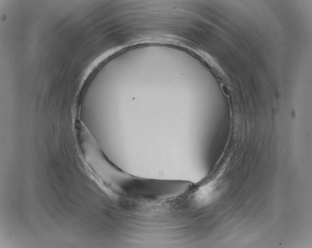 X0000080770846200701021119