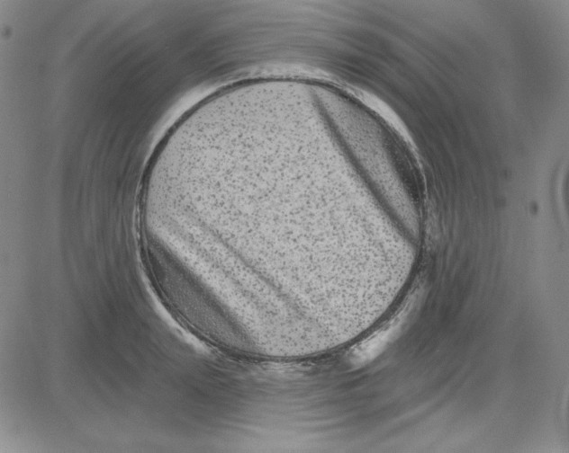 X0000080770847200701021119