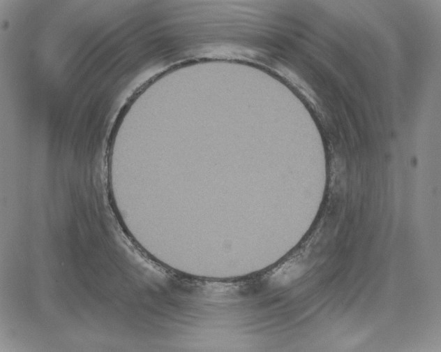 X0000080770848200701021119