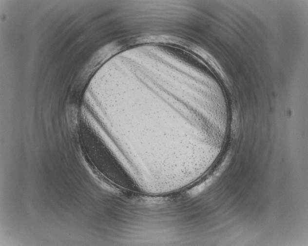 X0000080770849200701021119