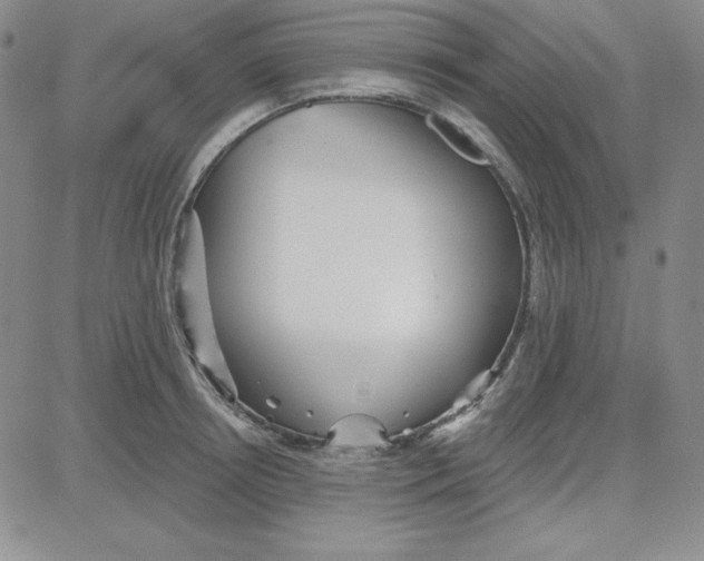 X0000080770850200701021119