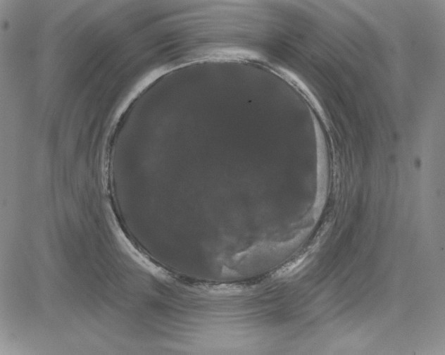 X0000080770851200701021119