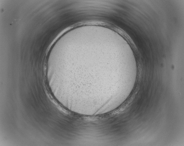 X0000080770852200701021119