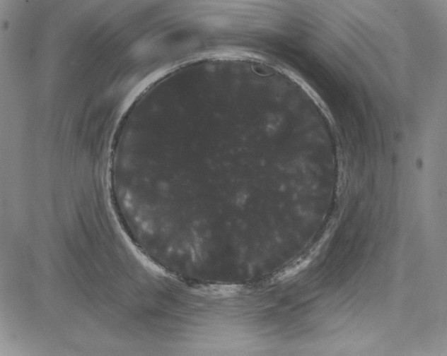 X0000080770853200701021119