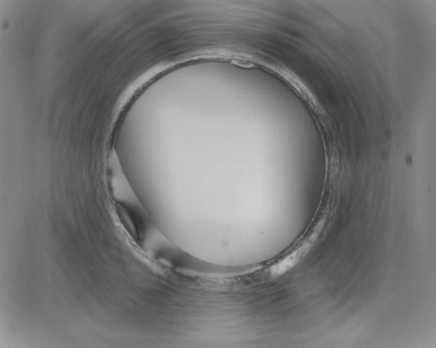 X0000080770854200701021119