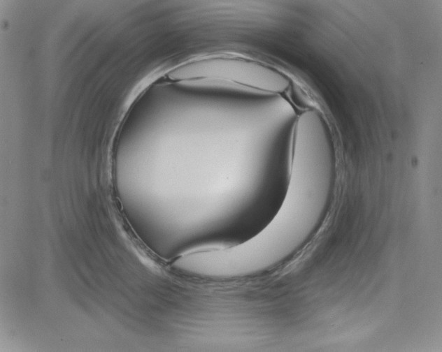 X0000080770858200701021119