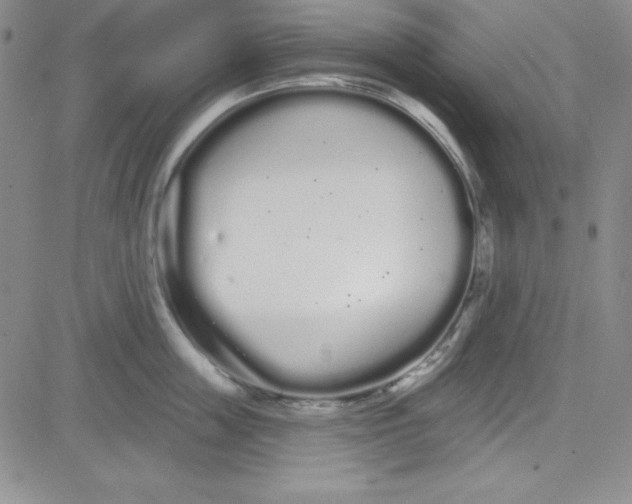 X0000080770859200701021119