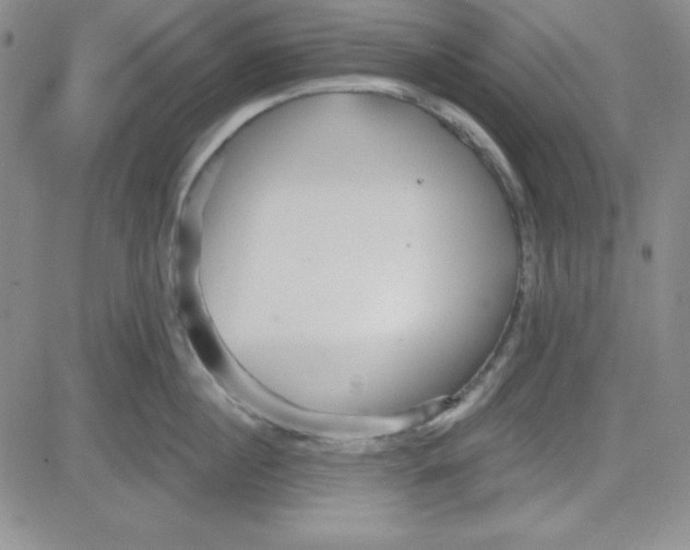 X0000080770860200701021119