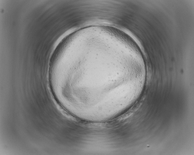 X0000080770861200701021119