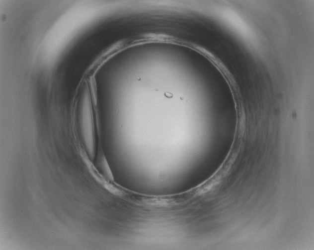 X0000080770862200701021119