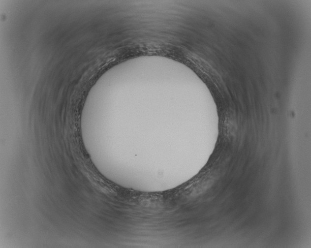 X0000080770865200701021119