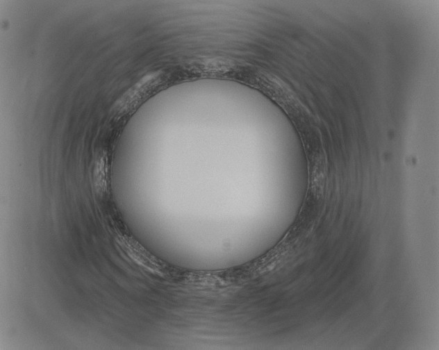 X0000080770866200701021119