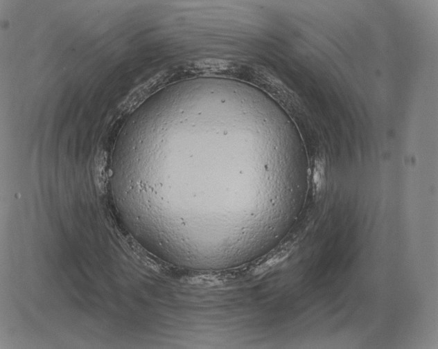 X0000080770867200701021119