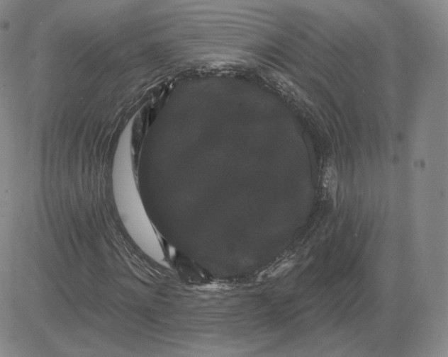 X0000080770868200701021119