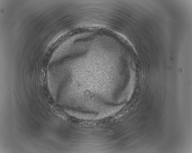 X0000080770871200701021119