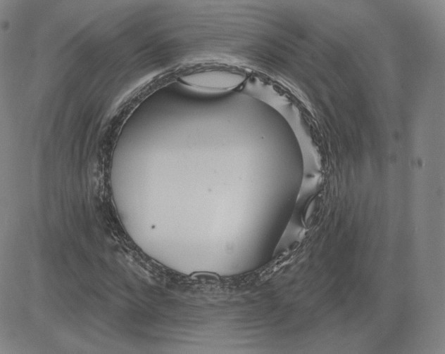 X0000080770872200701021119