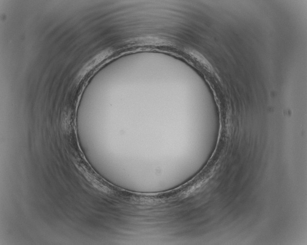 X0000080770873200701021119